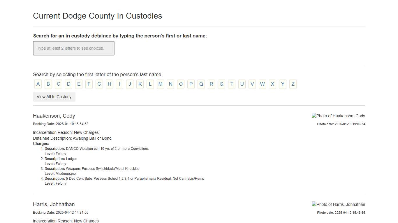 Current Dodge County In Custodies